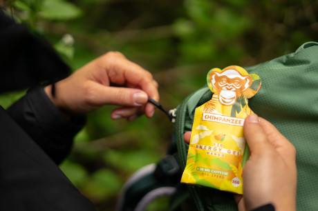 Энергетический гель Chimpanzee Energy Gel Mango 35 г