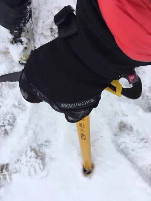 Зимние перчатки для альпинизма Extremities Mountain Glove